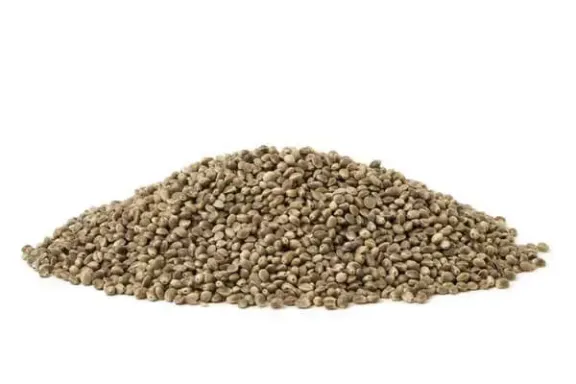 organic hemp seed